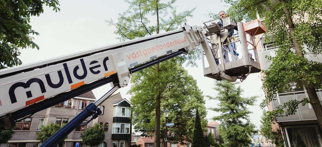 Portfolio afbeelding