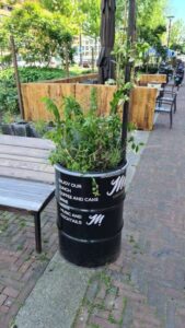 Portfolio afbeelding