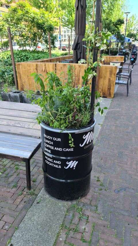 Portfolio afbeelding