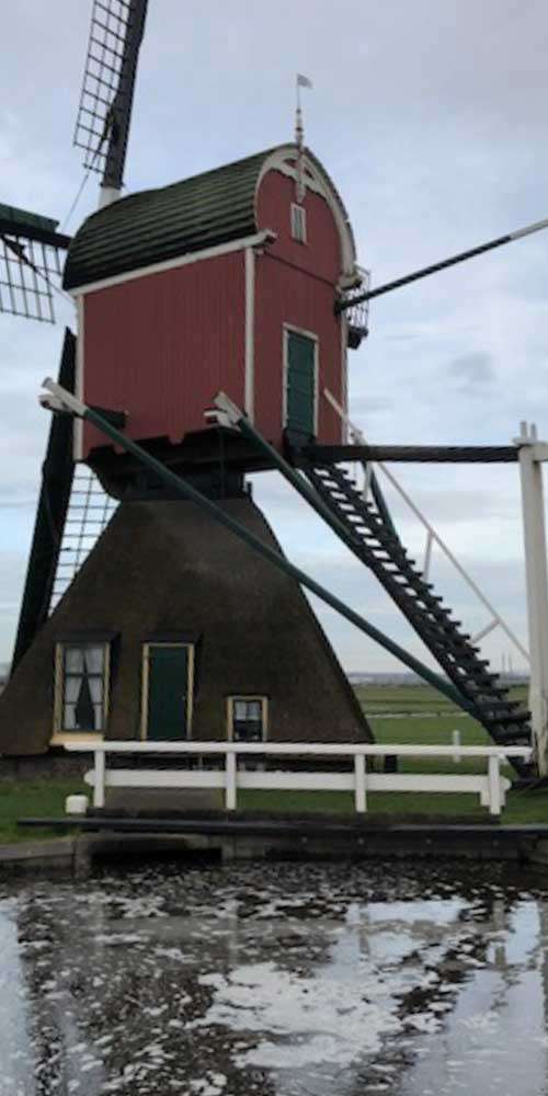 Portfolio afbeelding