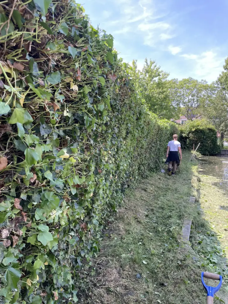 Portfolio afbeelding