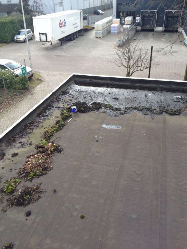 Portfolio afbeelding