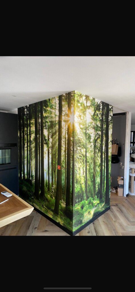 Portfolio afbeelding