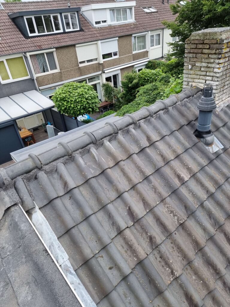 Portfolio afbeelding