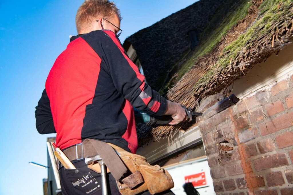 Portfolio afbeelding