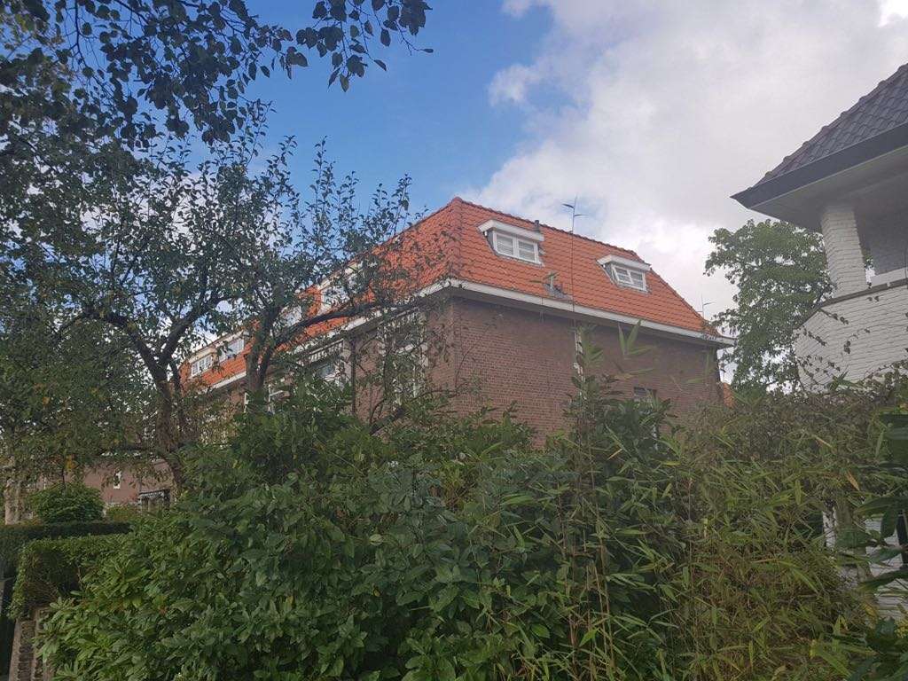 Portfolio afbeelding