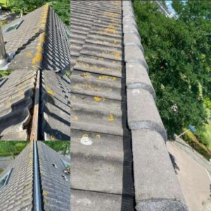 Portfolio afbeelding