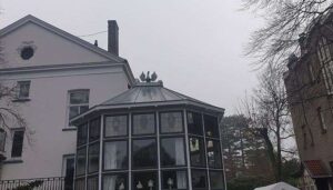 Portfolio afbeelding