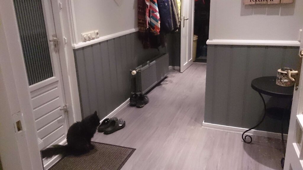 Portfolio afbeelding