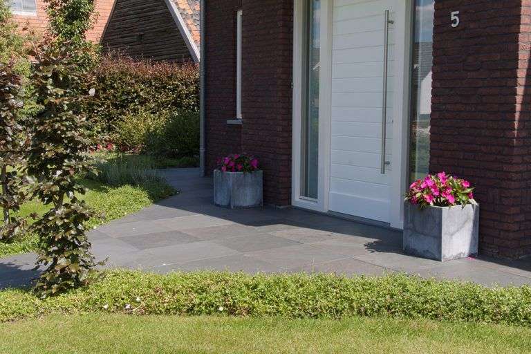 Portfolio afbeelding