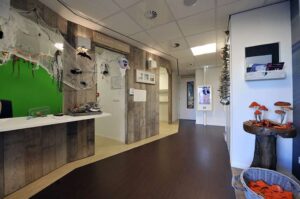 Portfolio afbeelding