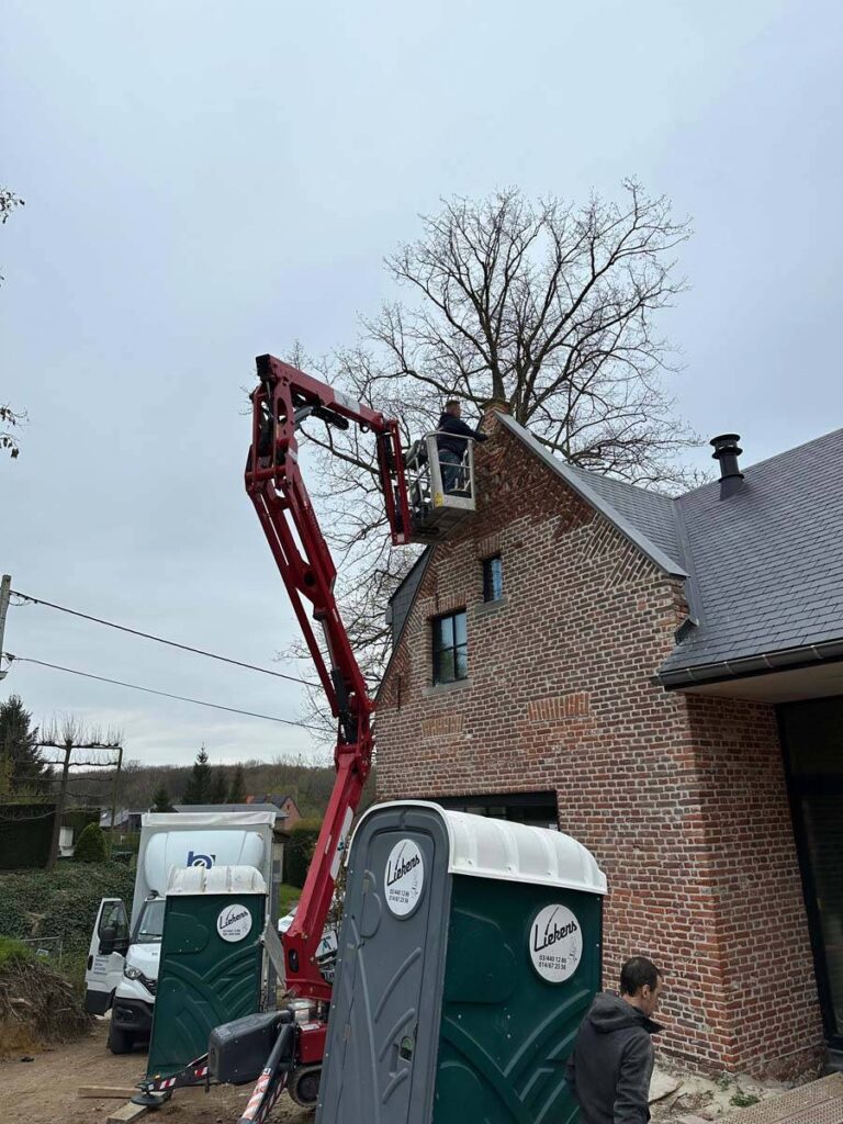 Portfolio afbeelding