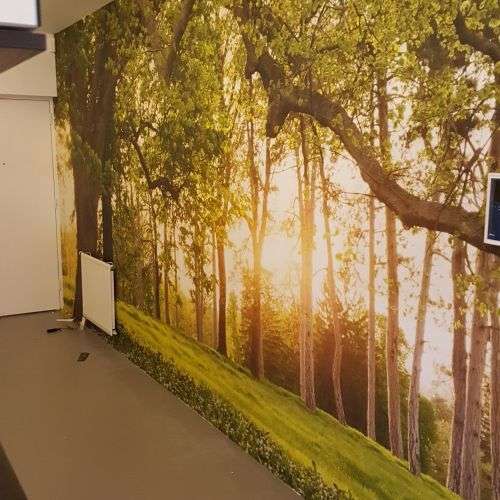 Portfolio afbeelding