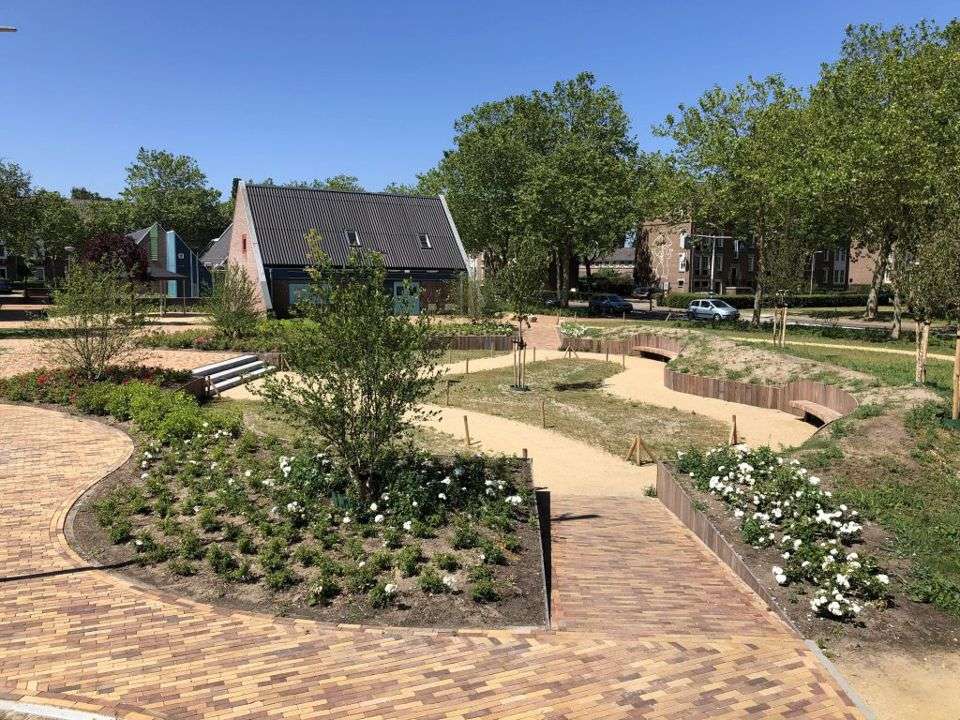 Portfolio afbeelding