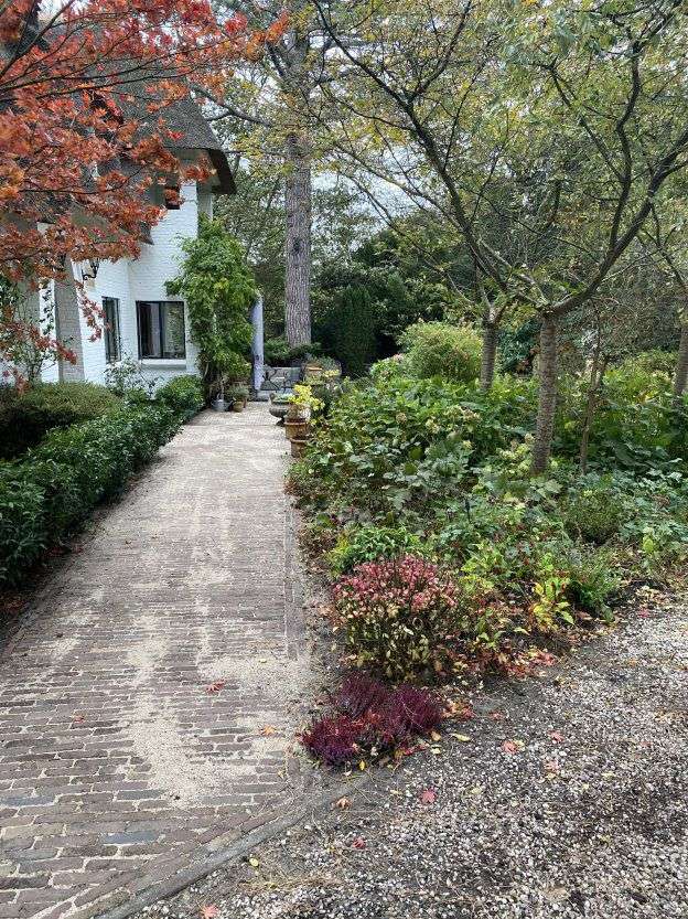 Portfolio afbeelding