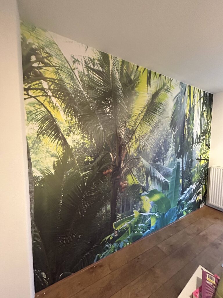 Portfolio afbeelding