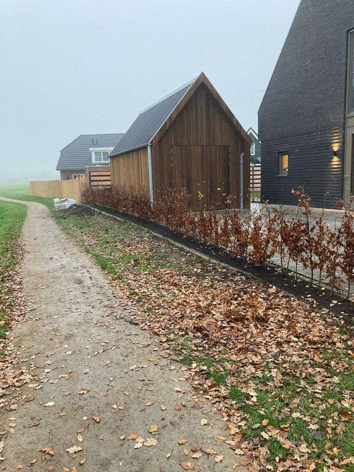 Portfolio afbeelding