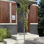 Het herstellen van hout en op nieuw doorzichtig lak Afbeelding 1