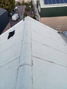 Portfolio afbeelding