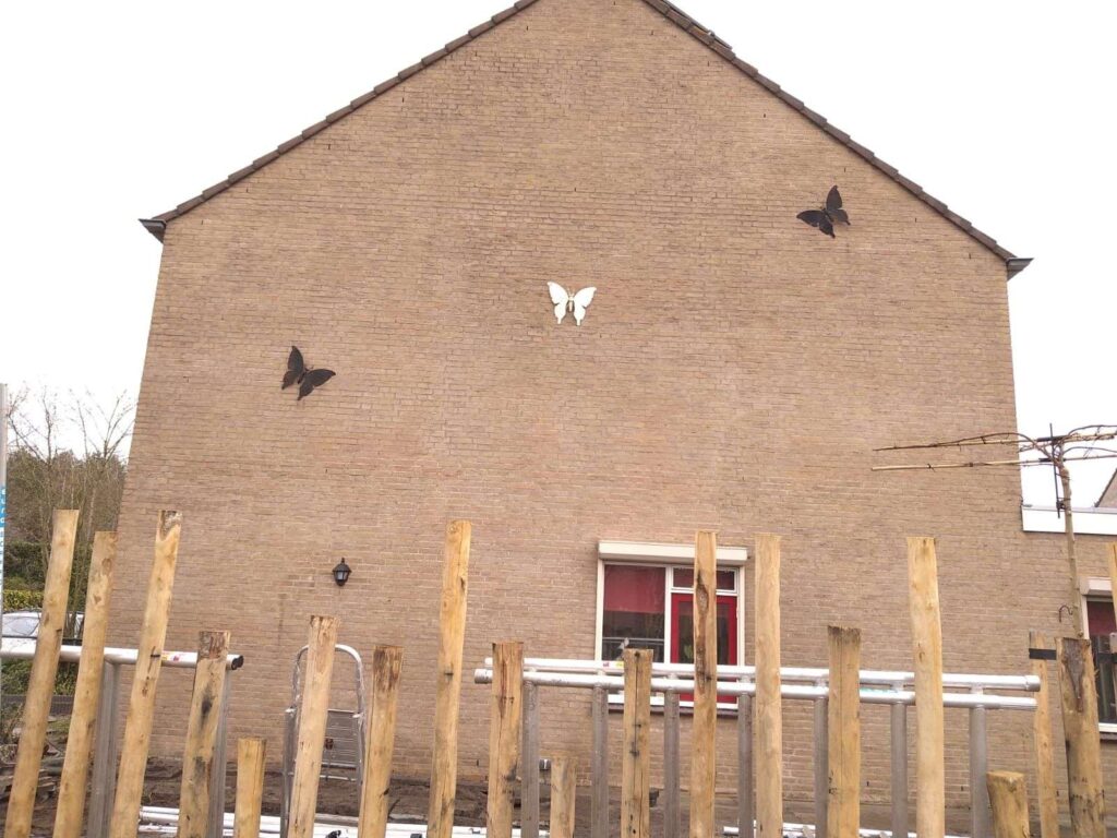 Portfolio afbeelding