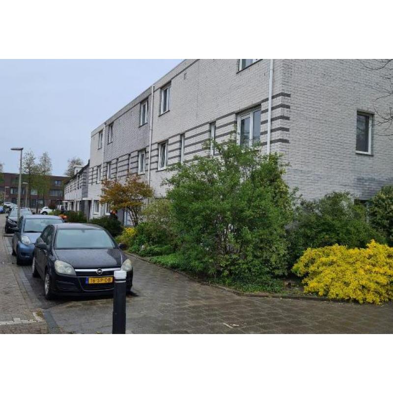 Portfolio afbeelding