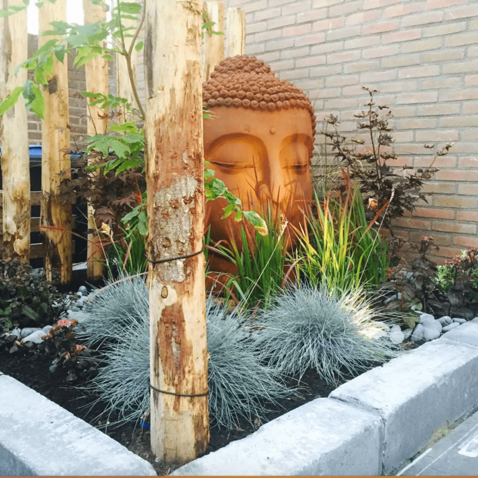 Portfolio afbeelding