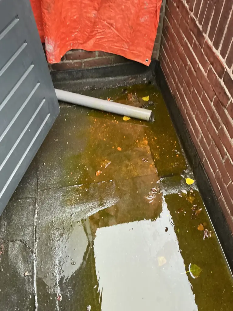 Portfolio afbeelding