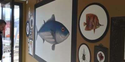 Portfolio afbeelding