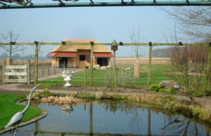 Portfolio afbeelding