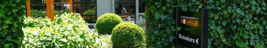 Portfolio afbeelding