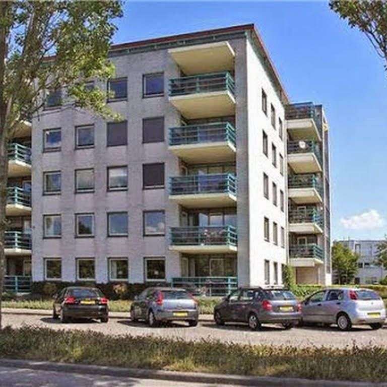 Portfolio afbeelding