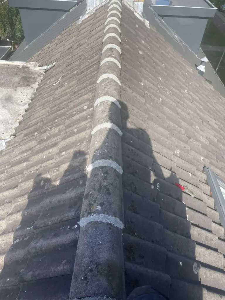 Portfolio afbeelding