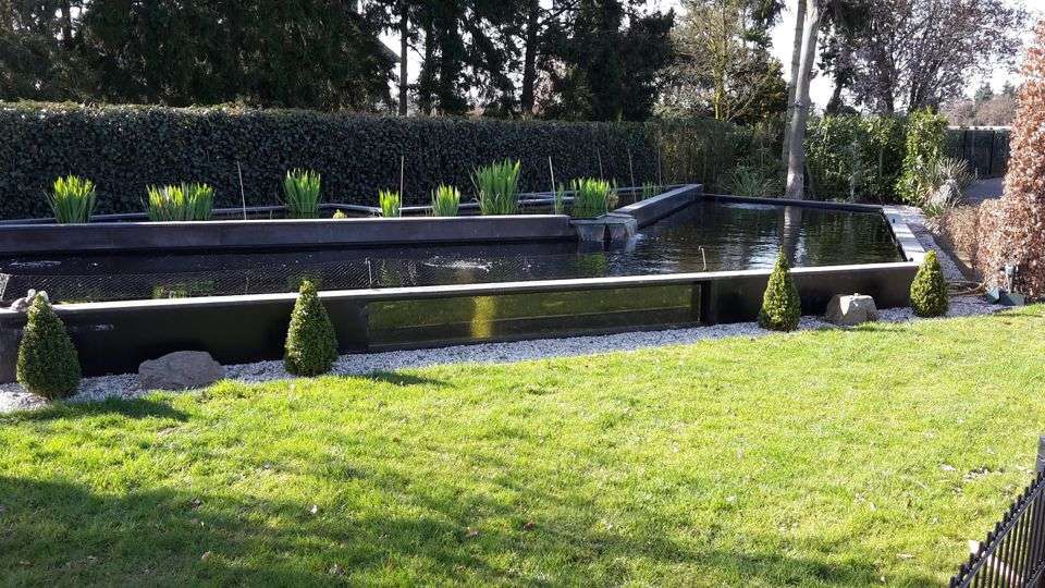 Portfolio afbeelding