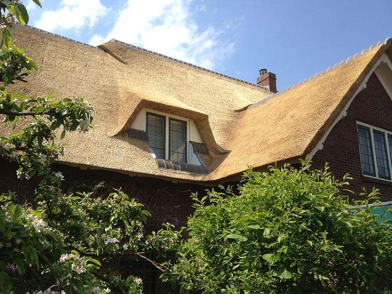 Portfolio afbeelding