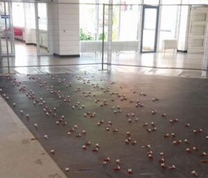 Portfolio afbeelding