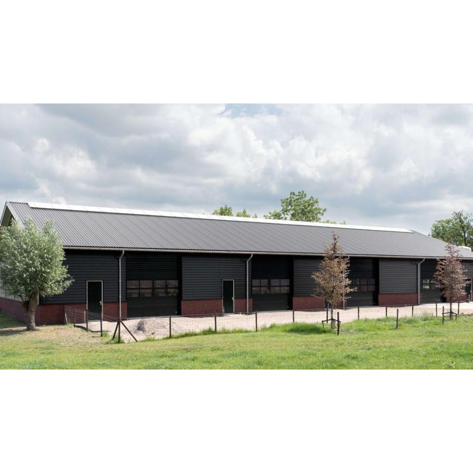 Portfolio afbeelding