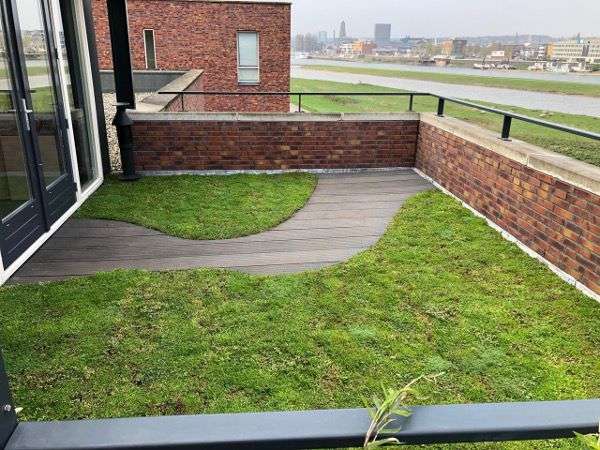 Portfolio afbeelding