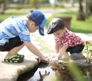 Portfolio afbeelding