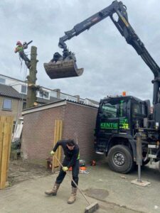 Portfolio afbeelding