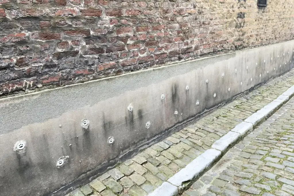 Portfolio afbeelding