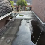 Dakrenvatie van een garage dak Afbeelding 1