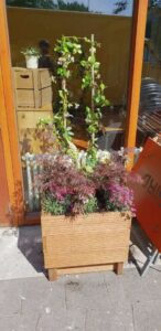 Portfolio afbeelding