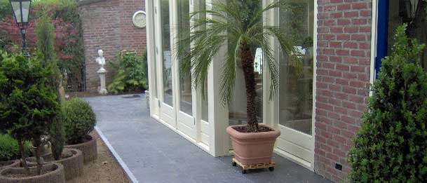 Portfolio afbeelding