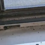 Binnen en buiten glasbewassing Afbeelding 1