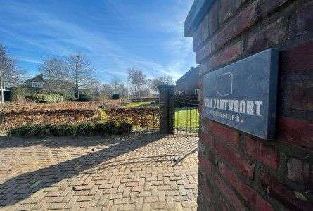 Portfolio afbeelding