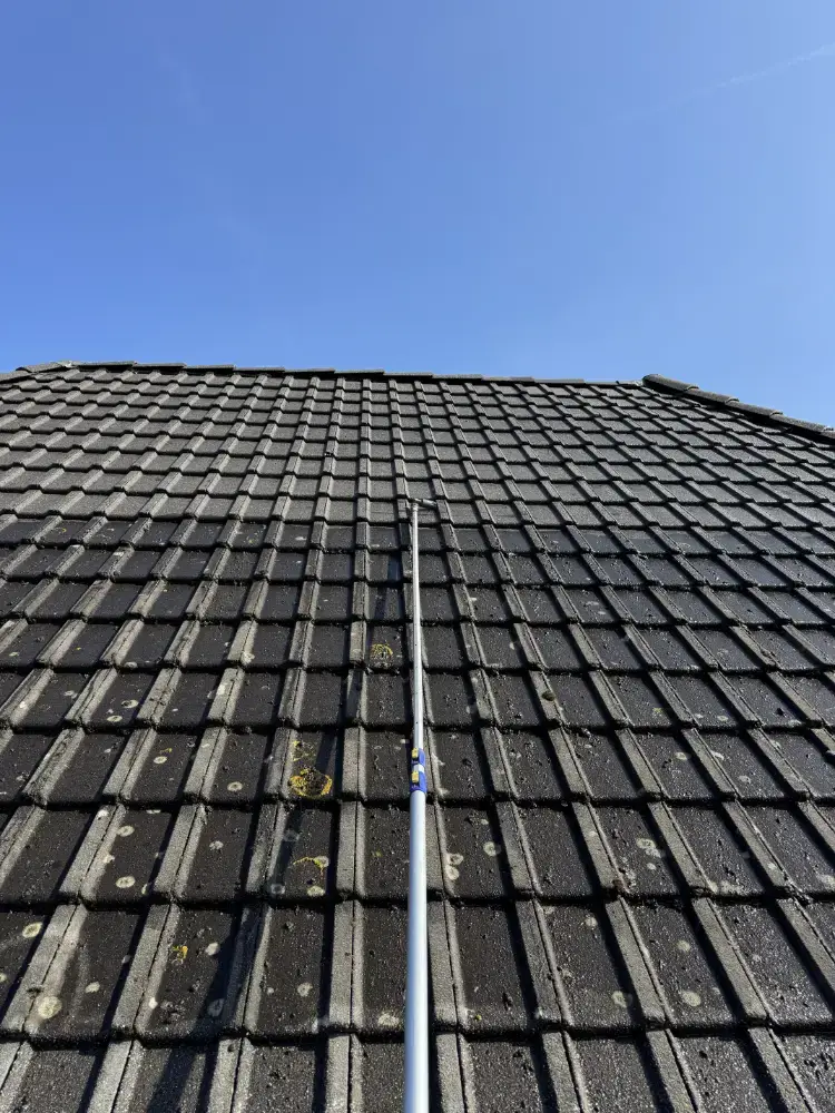 Portfolio afbeelding