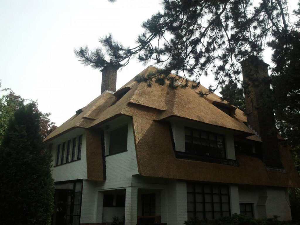 Portfolio afbeelding