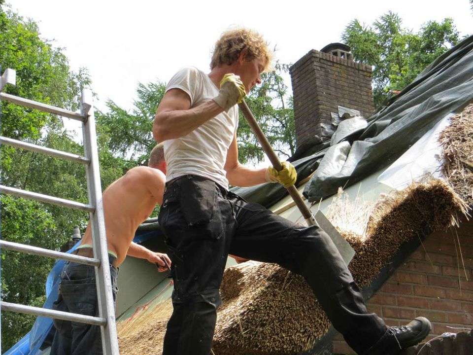 Portfolio afbeelding