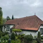 Dakbehandeling met biocide schuim Afbeelding 1