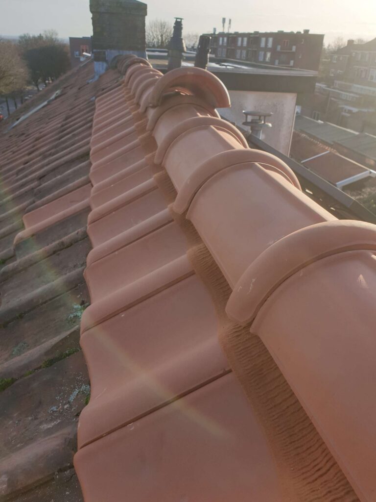 Portfolio afbeelding